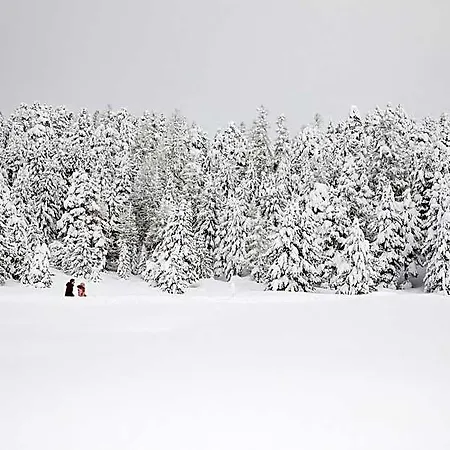 Languard Готель